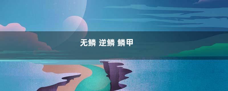 无鳞 逆鳞 鳞甲